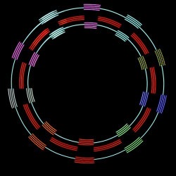 Cariocas Led LUMIN ART - PIXEL POI - Par - 15
