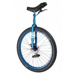 Monociclo QX 29" RGB - 4