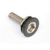 Tornillo Allen fino antiguo