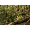 Monociclo Kris Holm 29" BOUNDARY ▷ Comprar en 441Malabares